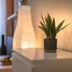 Orangehomes One Bedroom Comfy